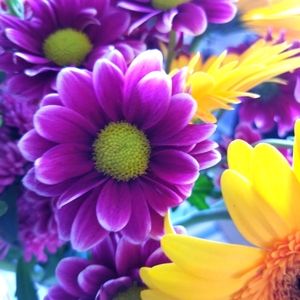 Meet your Posher, Denise